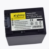 Gloxy Batterie Sony NP-FV100