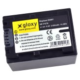Gloxy Batterie Sony NP-FV70