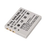 Sanyo DB-L20 Compatible Lithium-Ion Rechargeable Battery