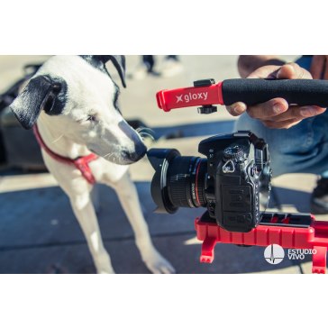 Gloxy Movie Maker stabilizer for Olympus E-30