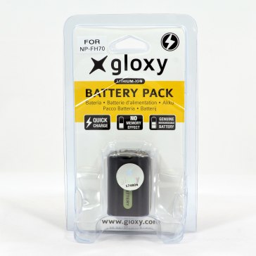 Batterie Sony NP-FH70 pour Sony DCR-SX31