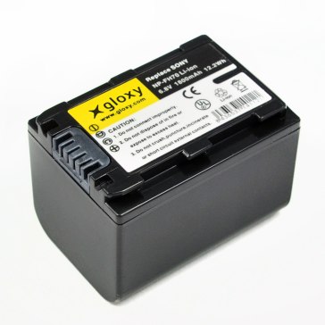 Batterie Sony NP-FH70 pour Sony HDR-SR5