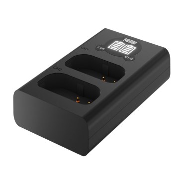 Chargeur Newell pour Panasonic Lumix S1H