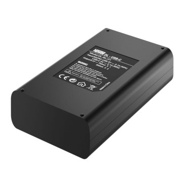 Chargeur Newell pour Panasonic Lumix S1H