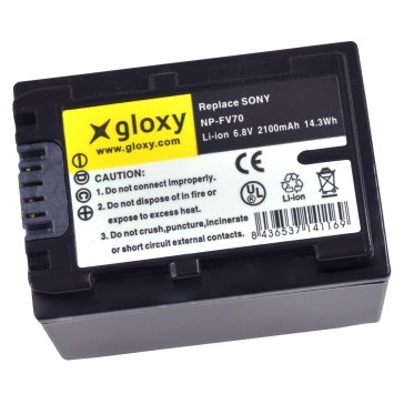 Batterie Sony NP-FV70 pour Sony DCR-SX21E