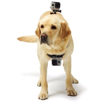 GoPro Harnais Fetch pour chien pour GoPro HD HERO 2