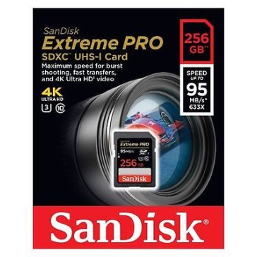 Carte mémoire SanDisk 256GB pour Blackmagic Pocket Cinema Camera 4K