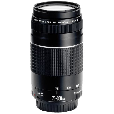 Objetivo Canon EF 75-300mm f/4.0-5.6 DC III