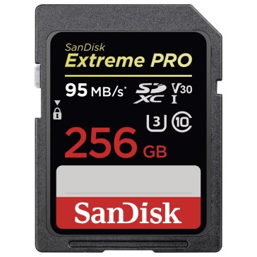 Carte mémoire SanDisk 256GB pour Canon XA65