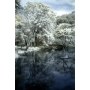 Infrared Filter 67mm 850nm