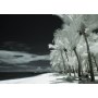  Infrared filter 950nm for Canon Powershot S2 IS