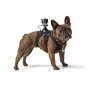 GoPro Harnais Fetch pour chien pour GoPro Fusion 360