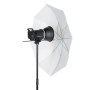 Kit de iluminación de estudio Quadralite Up! X 700 para Canon EOS R7