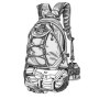 Lowepro AW II Rover Backpack