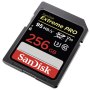Carte mémoire SanDisk 256GB pour JVC ADIXXION GC-XA1